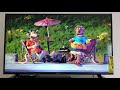 Closing To Chicken Run 2000 2006 Reprint DVD