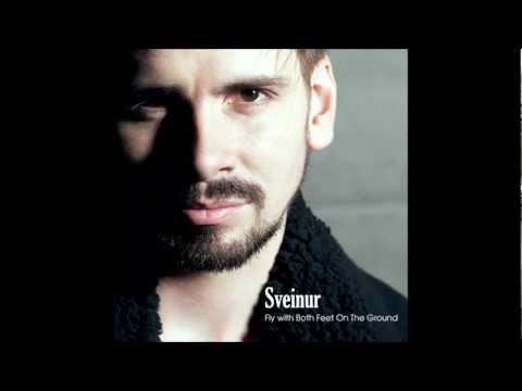 Sveinur - Fly With Both Feet On The Ground