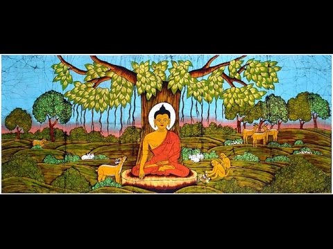 ANIMALS AND THE BUDDHA