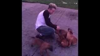 Jedward on Vine: Ferocious Playful Warriors