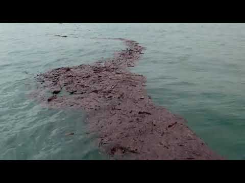 Welcome to Sochi 2019 4K UHD