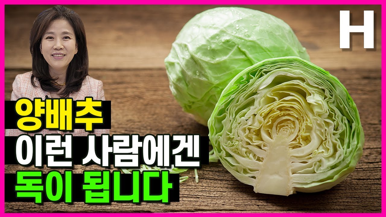 양배추먹으면안되는사람 독이 되는 양배추