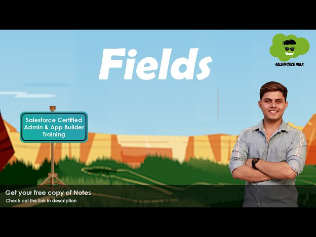 Fields in Salesforce