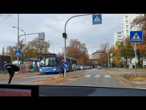 Bus mit Warnblinker