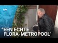 Stadsflora schrijver Ton beschrijft de stadsnatuur in Amsterdam