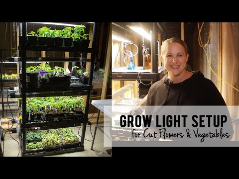 Quick Look at my Budget Friendly Grow Light Setup for Cut Flowers & Vegetables
