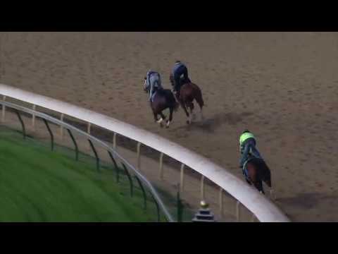 Mind Your Biscuits - 10/19/18 Workout