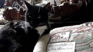 Say Goodnight Not Goodbye.MPG