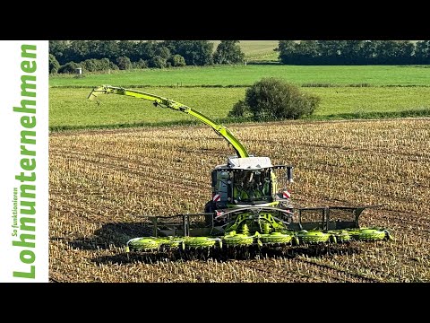 14-reihiges Claas Orbis im Einsatz