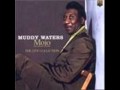 Muddy Waters - I Feel So Good - Live at Newport - TheBluesfan12 Muddy Waters - I Feel So Good - Live at Newport