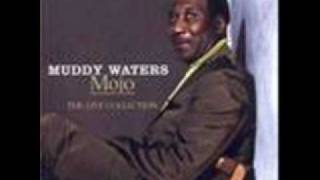 Muddy Waters - I Feel So Good - Live at Newport