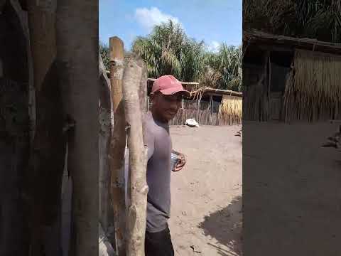 Criação Inspiradora no município de Matinha MA