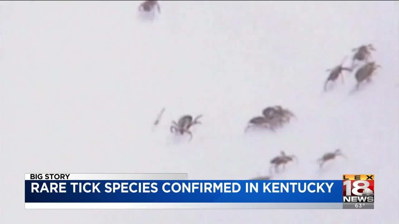 Is Lyme disease rare in Kentucky?