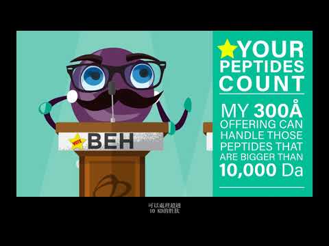 [Legendas em chinês] Série de debates sobre peptídeos: