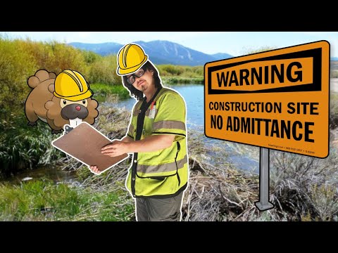 Sinnoh's Ecosystem Engineer | The Ecology of the Bidoof Line