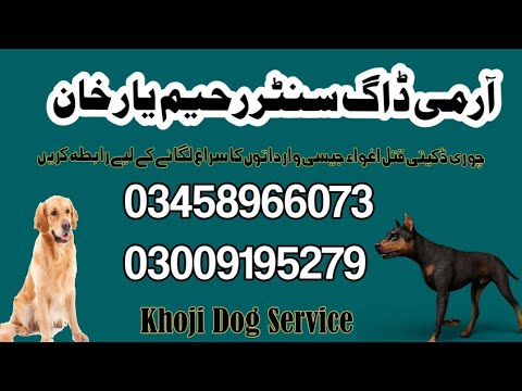 Army Dog Center Rahim Yar Khan | Khoji Dog Service Rahim Yar Khan #armydogcentre #khojidogs