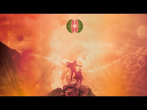 Mi mente vuela (Carlos Salinas y Frank Gaz) VIDEO