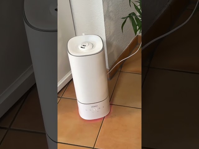 Video teaser per Ecofort ecoQ HumidAir U400+ Review – Stephanies Test vom Luftbefeuchter