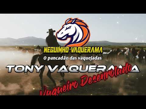 TONY VAQUERAMA/Vaqueiro Desenrolado @_tonyvaquerama