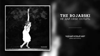 the bojarski - 07 - Чудный новый мир