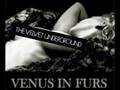 the velvet underground - venus in furs (remix ...