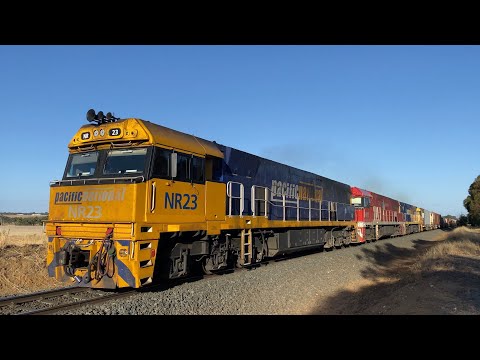 4MA5 Pacific National freight with NR23 NR75 (GHAN) NR118 at Inverleigh bound for Adelaide 29/1/2025