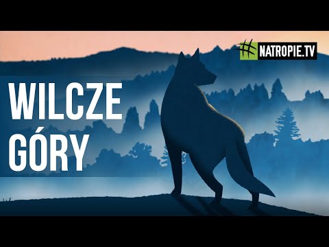 #kierunekwilczegóry | Najdzikszy zakątek Polski