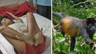 This Girl Was Found Living With Monkeys And Walking On All Fours  Now She’s Been Brought Into Societ