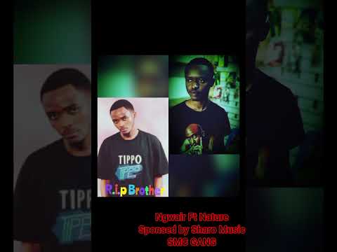 Albert Mangwea Ft Juma Nature,Dark Master,Sharo Music - Mida Mibovu