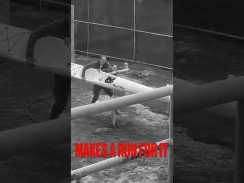 THIEF tried to steel my surfski😱 #shorts