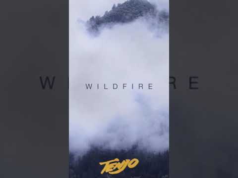 Tenjo - Wildfire (Lyric Video)