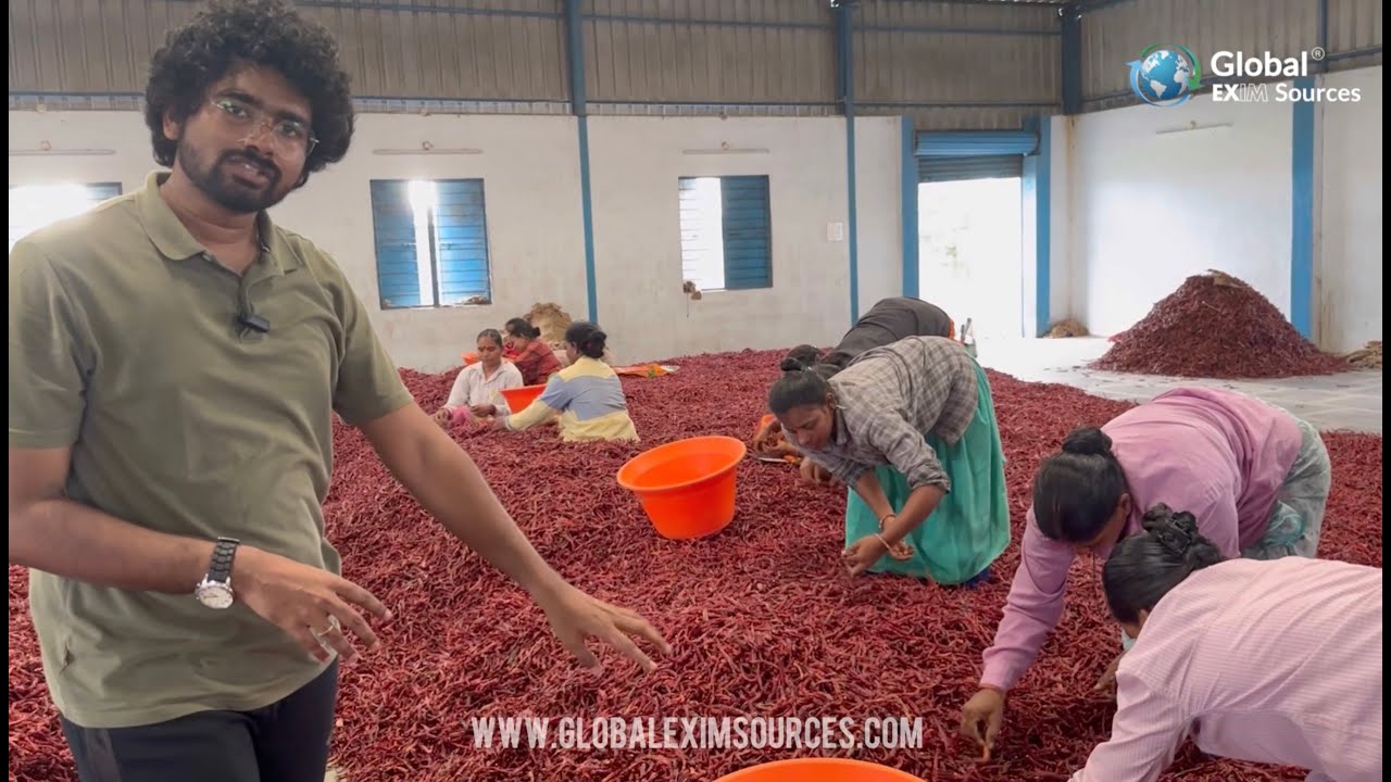 Red Chillies Export to Indonesia | Global EXIM Sources