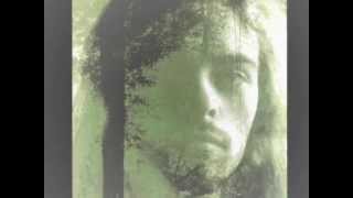 Days of the New -  Whimsical