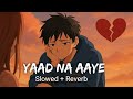 Yaad Na Aaye Slowed Reverb Akull Lofi Song