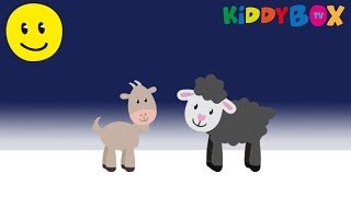 Fred Sonnenschein & Seine Freunde - Stille Nacht, heilige Nacht - (KIDDYBOX.TV)