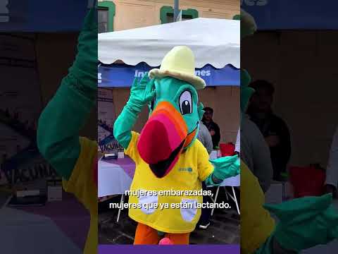 💙 ¡Éxito total en la Brigada Social en San Gabriel, Montúfar! 🤝✨ | Gobernación de Carchi