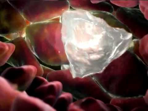 Resposta Inflamatória