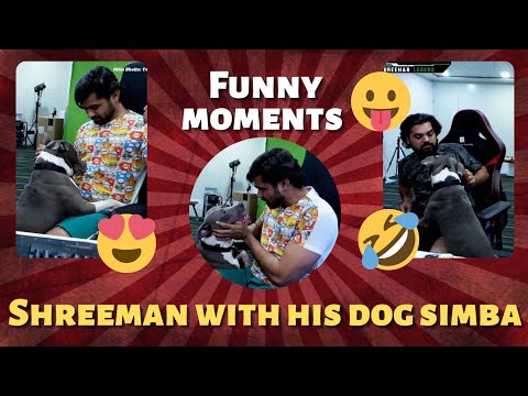 Shreeman legend funny moments with his dog Simba 🐶😂 #shreemanlegend #shreemanfamily