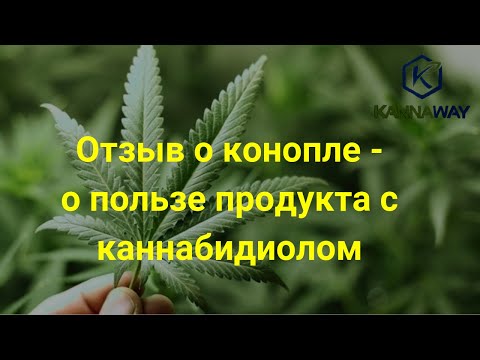 Отзыв о конопле - о пользе продукта с каннабидиолом.