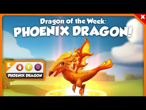 Phoenix Dragon of the Week! - Dragon Mania Legends Breeding Guide [12-19th Dec]