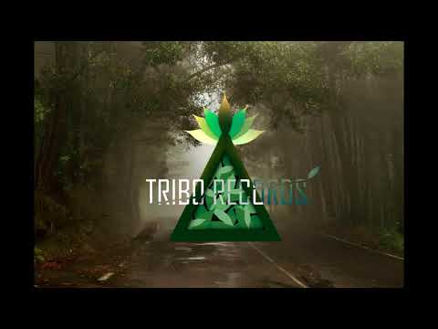 Sidney Samson & Shaggy - The Officer (feat. Bobso Architect & Hosai) [Official Music]