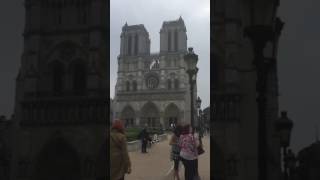 The Bells of the Notre Dame Cathedral