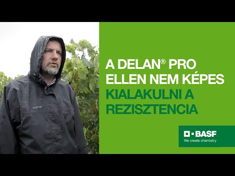 Igazodási pont peronoszpóra ellen – Delan® Pro az új standard