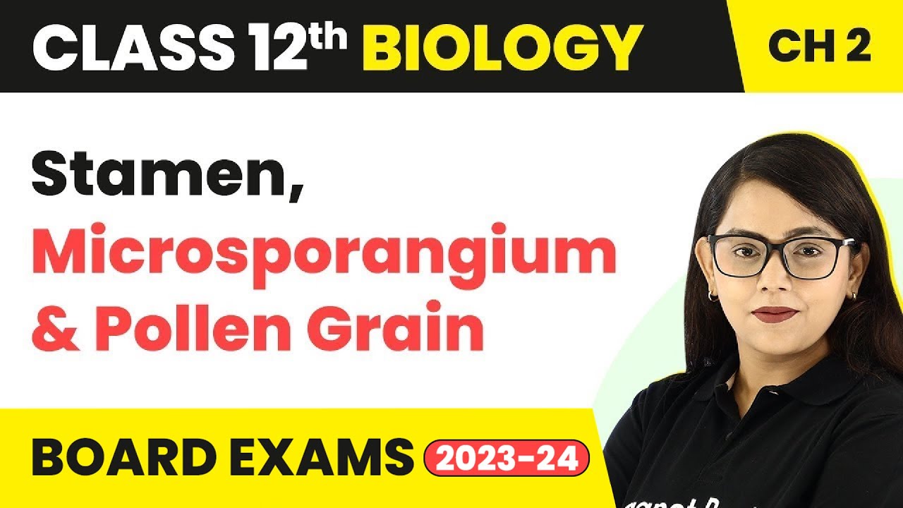 Class 12 Biology Chapter 2 | Stamen, Microsporangium & Pollen Grain CBSE/NEET (2022-23)