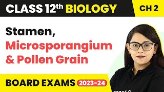 Class 12 Biology Chapter 2 | Stamen, Microsporangium & Pollen Grain CBSE/NEET (2022-23)