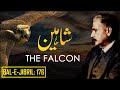 Bal-e-Jibril: 176 | The Falcon | Shaheen | Allama Iqbal | Iqbaliyat | AadhiBaat