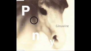 Ginuwine - Pony (Extended Mix)