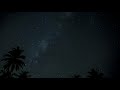 Sounds Of The Night In Costa Rica Jungle Night Time