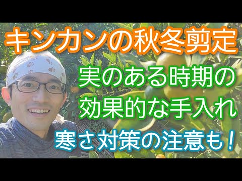 果樹の剪定時期 短い枝を剪定する 太い枝を剪定する