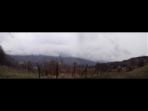 Maline, početni radovi, sezona 2017